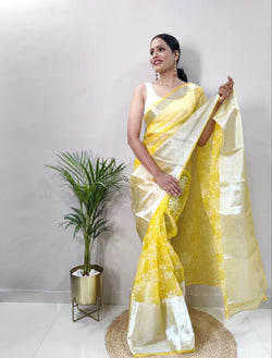 Kanchi Organza Jacquard Foil Pigment Full Work Saree