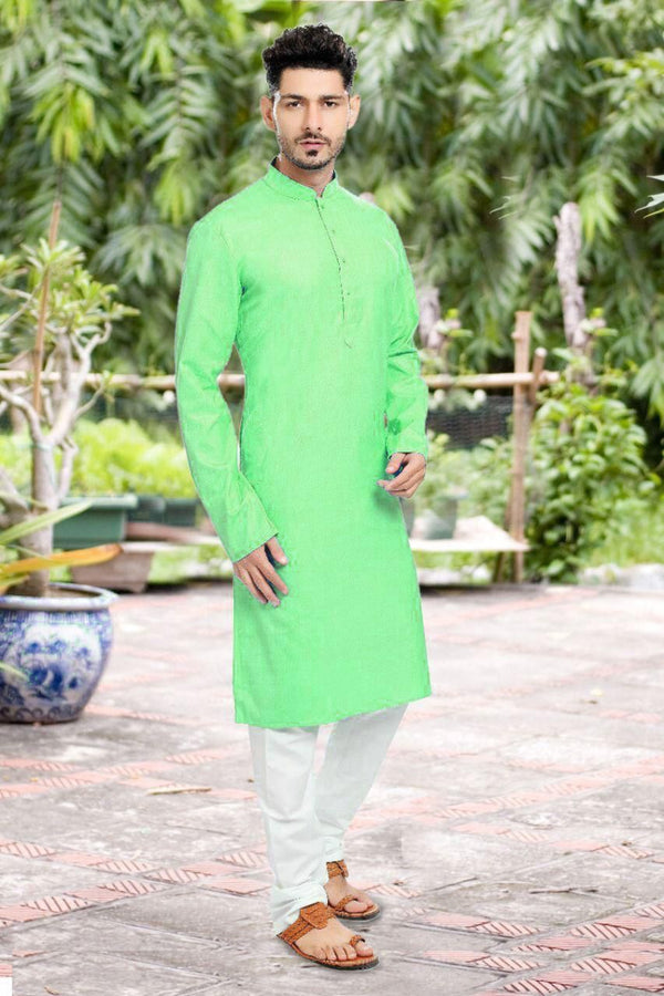 Presenting Pista Colored Mens Kurta